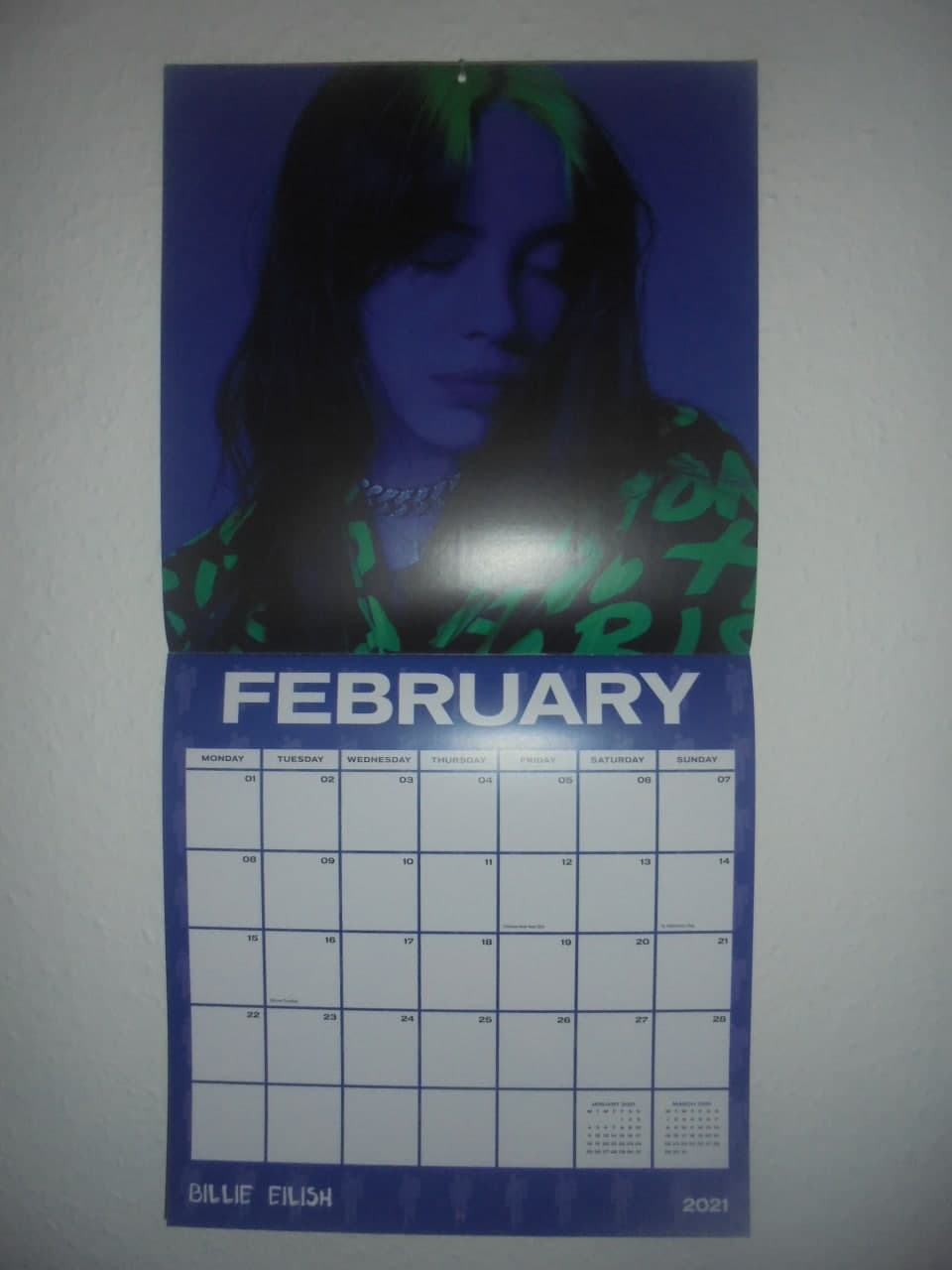 Billie Kalender Februar_2021.jpg