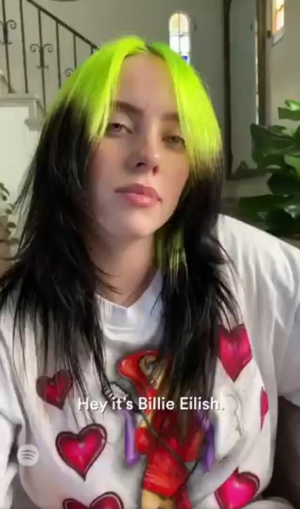 Hey it's Billie Eilish.jpg